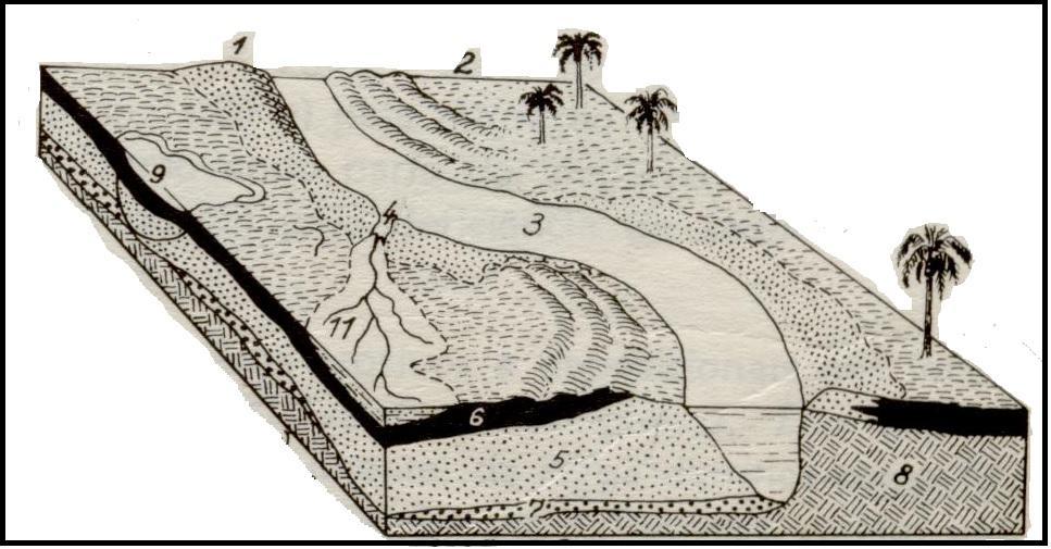 Figura 6: Processos sedimentares e fáceis fluviais: 4 - Depósitos de rompimento de dique marginal (crevassa). 5 Depósito de barra de meandro. 6 Depósito de planície de inundação.