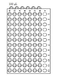 Material e Métodos Figura 9 - Representação da diluição seriada dos antibióticos na microplaca. 2.1.4.