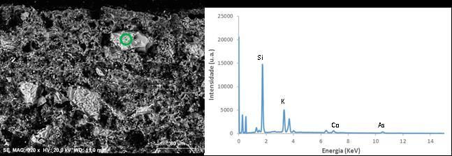 Identificação Laboratorial Espectro e concentração de alguns elementos químicos de uma partícula (assinalada com uma circunferência verde) de esmalte em massa normalizado para 100% (norm.