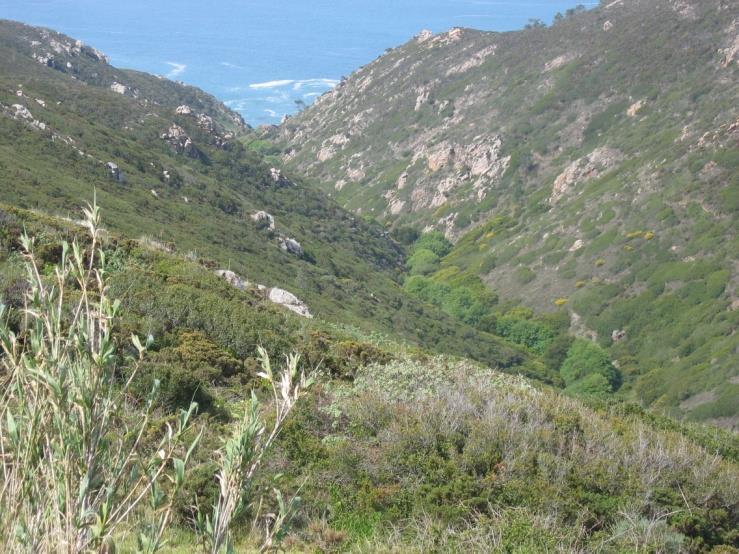 Aptidão Ecológica a matos e mata de