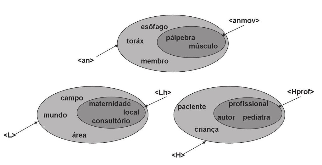 A etapa de Seleção de Grupos Semânticos é opcional. A ferramenta mostra ao usuário as informações semânticas que o parser(etiquetador) PALAVRAS associa às palavras do corpus.