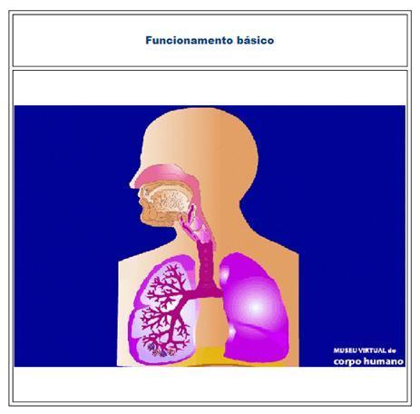 5 A B Figura 3 - Ilustrações da animação sobre Sistema respiratório da seção Conhecendo o corpo humano.