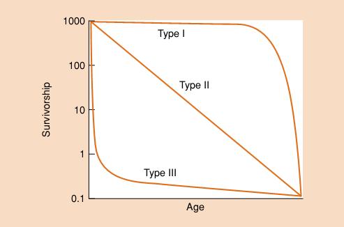 Curvas de sobrevivência Padrão mais comum na