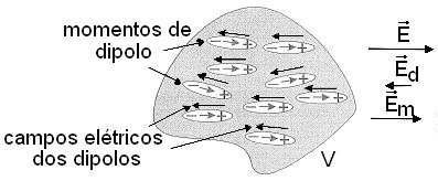 Os dipolos, ao se orientarem na direção e sentido do campo elétrico externo, produzem eles próprios um campo elétrico E r d macroscópico resultante, que é a soma vetorial dos campos elétricos gerados