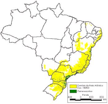 56 brasileiras (SOSMA, 2016).