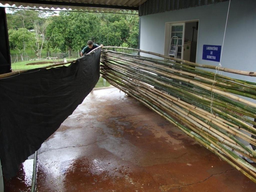Figura 1. Substratos de manta geotêxtil (à esquerda) e bambu (à direita). Figura 2.