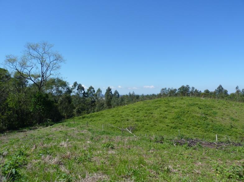 RELATÓRIO DO PROGRAMA DE RESGATE ARQUEOLÓGICO DA JAZIDA DE ARGILA ARAÇÁ MUNICÍPIO DE NOVA VENEZA SANTA CATARINA Figura 04: A seta em vermelho sinaliza o local da área onde foi registrado o sítio