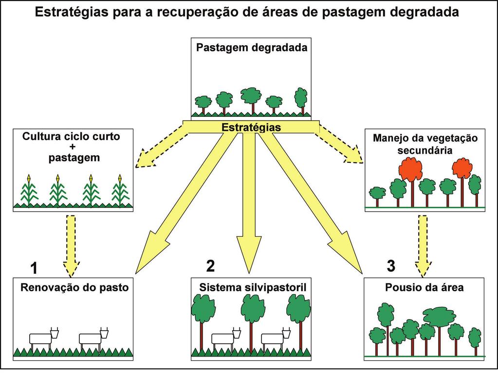 14 Estratégias de Recuperação de Pastagens Degradadas na Amazônia Brasileira Estratégias de recuperação de pastagens degradadas De acordo com Dias-Filho (2011), as estratégias de recuperação de