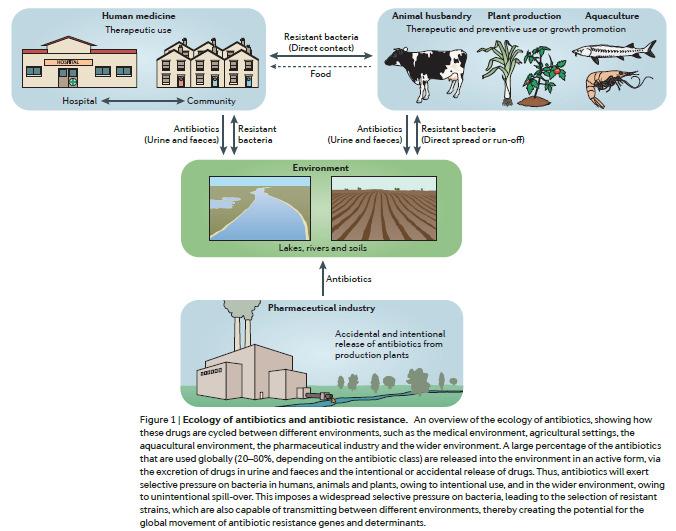 Fatores chave na rápida disseminação da resistência bacteriana Localização de genes de resistência em elementos genéticos móveis, tais como plasmídeos, transposons e integrons.