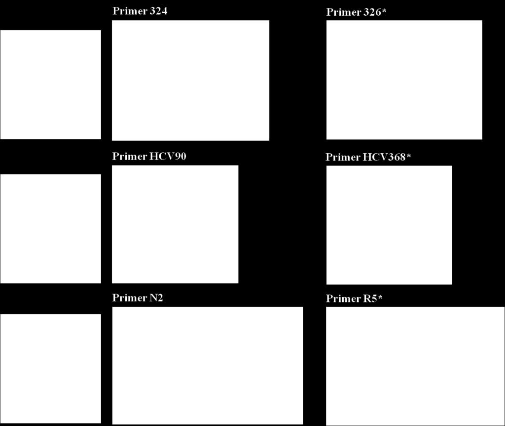 109 Fig.1. Alignment of pestivirus species and panpestiviruses primer pairs (324-326 and HCV90-368) and the HoBi-like