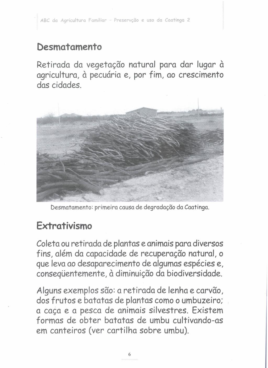ABC da Agricultura Familia~ Preservção e uso da Caatinga 2 Desmatamento Retirada da vegetação natural para dar lugar à agricultura, à pecuária e, por fim, ao crescimento das cidades.