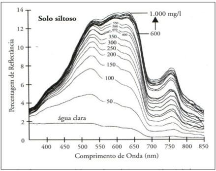 28 Figura 3 - Medidas in situ de reflectância espectral da água clara e de água com vários níveis de concentração de sedimentos em suspensão de solo siltoso. Fonte: Lodhi et al., (1997).