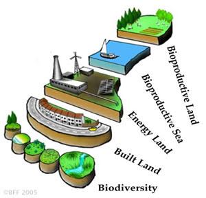 Cálculo da Pegada p Áreas que intervêm na Pegada Ecológica n Áreas construídas n Consumo de energia