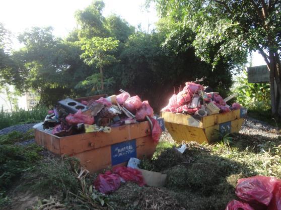 Esse grande esforço coletivo da UFBA para ampliar os trabalhos de limpeza, vistorias e eliminação de possíveis criadouros do Aedes Aegypti tem repercutido na imprensa regional