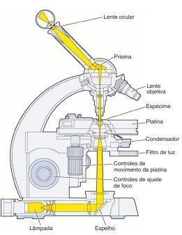 Microscópio de luz M E