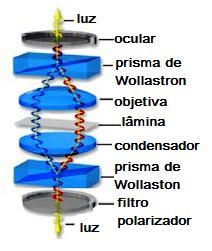 luz, para modificar a