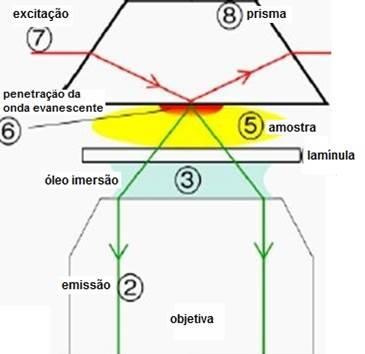 refração Quando a luz chega nas proximidades da amostra ela é capaz de gerar um campo eletromagnético, a