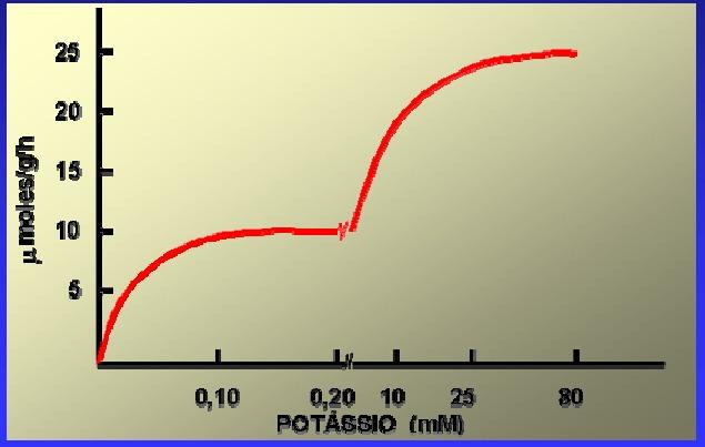 MECANISMO DUPLO PARA ABSORÇÃO DE POTÁSSIO