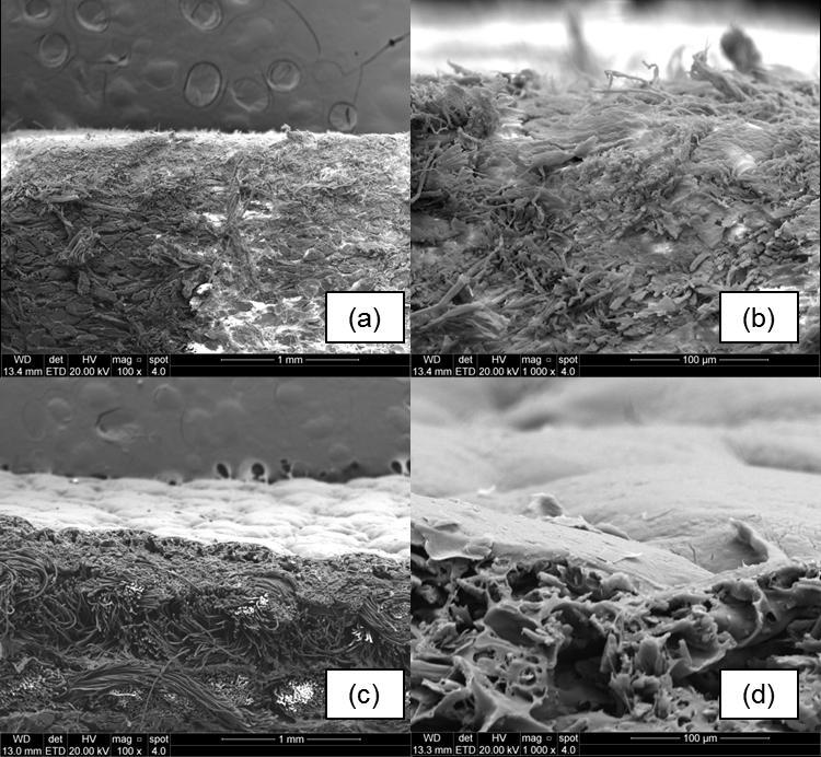 A Figura 5.25 apresenta a microscopia eletrônica de varredura da superfície a partir da seção transversal para visualizar as irregularidades da superfície.