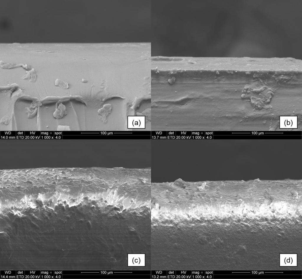 79 Figura 5.26. Micrografias da superfície da seção transversal do (a) PVC; (b) TPU; (c) TR; (d) TR tratado.