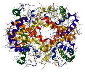 e Massa Molecular elevada.