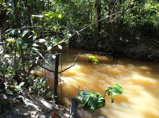 Vegetação aquática: emergente, marginal e flutuante; vegetação terrestre em pequena quantidade. Substrato: cascalho, areia e lodo.