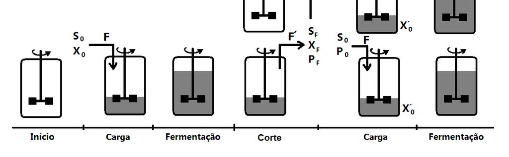 FERMENTAÇÃO