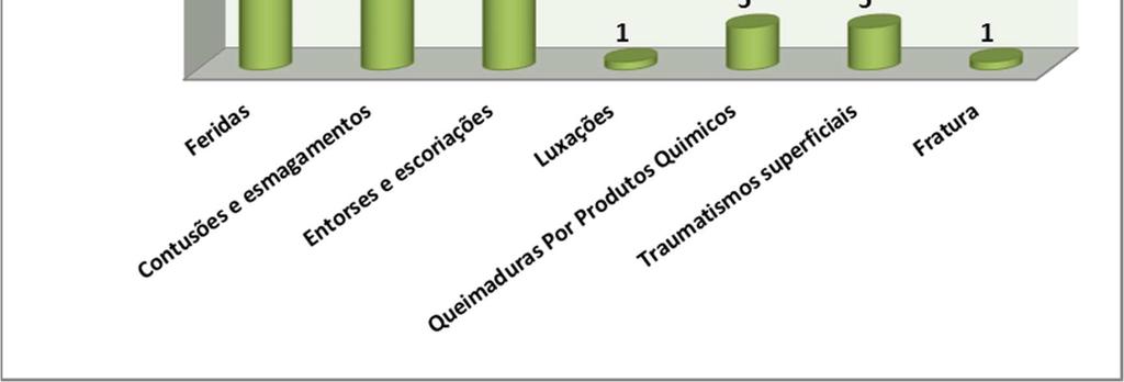 1 1% Queimaduras Por Produtos Químicos 1 0 1 1 0 2 5 5% Traumatismos superficiais 1 1 0 0 3 0 5 5% Fratura 1 0 0 0 0 0 1 1% Total 16 22 9 22 21 19 109 Gráfico 19 Dos 109