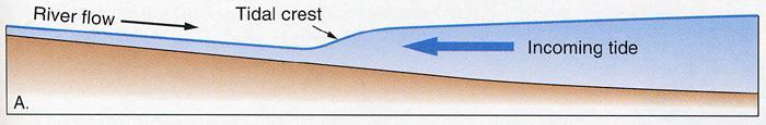 v=irupbss4xyk Foz do Rio Amazonas (Pororoca): forma-se uma onda de até 5-m de altura entrando a 20 km/h