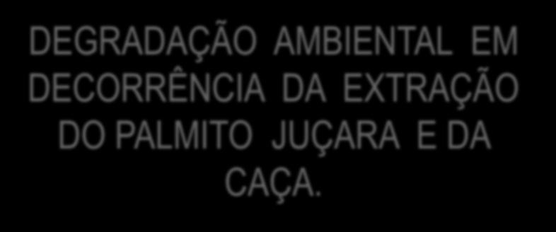 Mosaico que demandará aprofundamento em sua compreensão, bem como ações de enfrentamento a