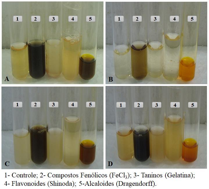 Os testes evidenciaram que, as amostras submetidas a reação com sais de ferro obtiveram teor de compostos fenólicos, com destaque as amostras do jatobá e aroeira (figura 2A e 2D), que apresentaram