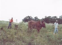 orgânica e agroecológica explorar