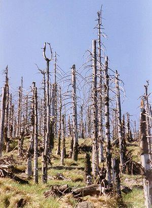 POLUIÇÃO ATMOSFÉRICA Mnóxid de carbn (CO) Gás inclr Indr Extremamente tóxic Liga-se irreversivelmente cm a hemglbina Pdend causar mrte pr asfixia Liberad na queima