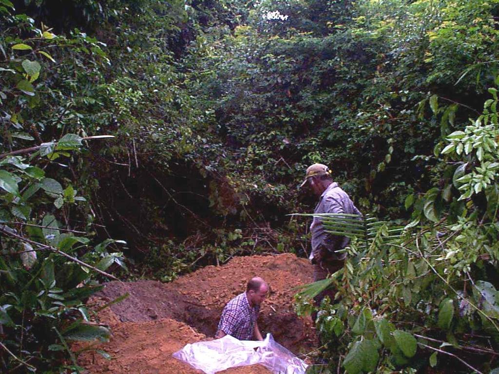 Usina Alcon Conceição da Barra, RJ Representação dos tratamentos Vegetação nativa (Floresta) Solo não perturbado Native vegetation (Forest) Pastagem