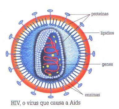 Estrutura