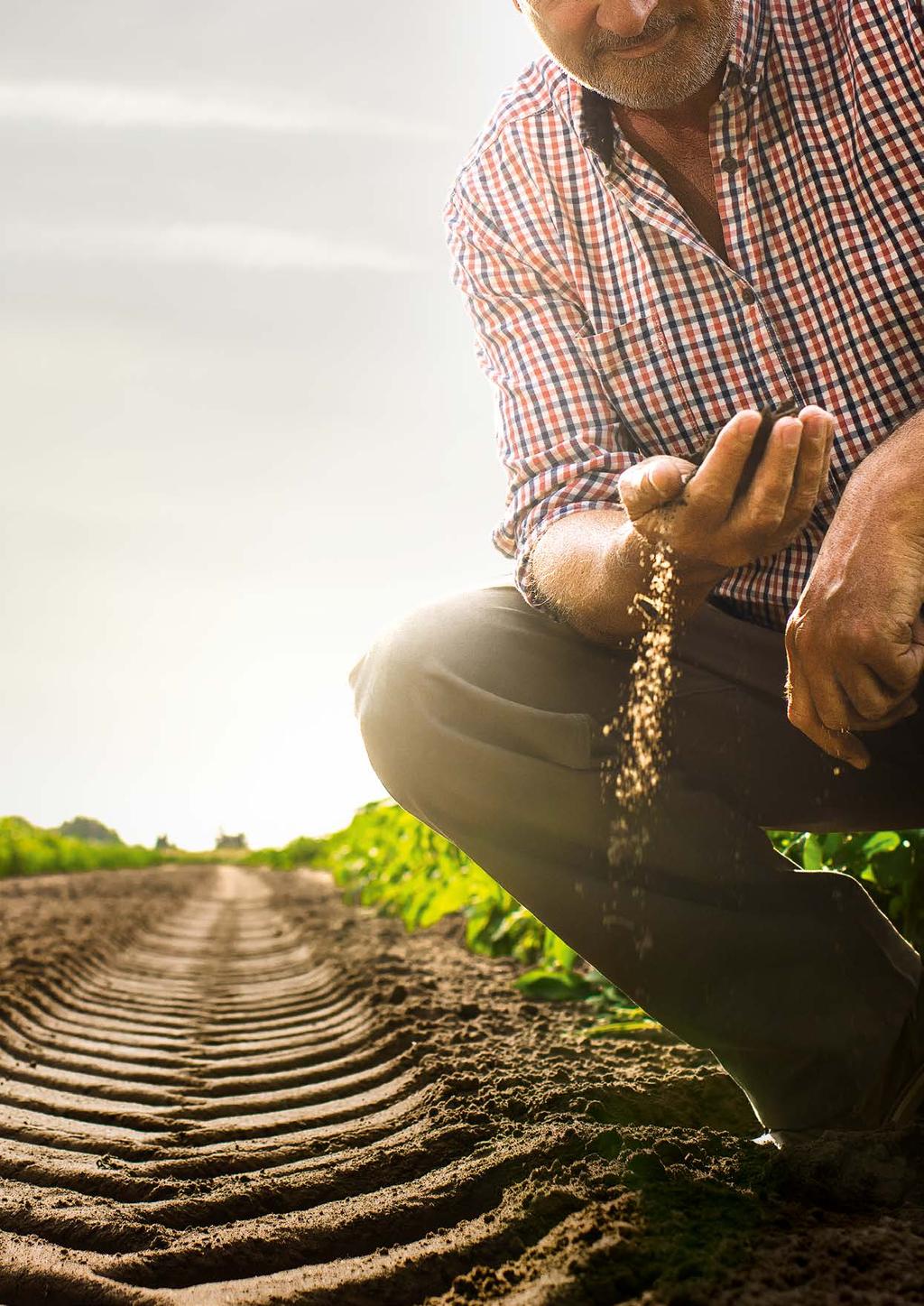 O Coração no Solo Pneus agrícolas de alto