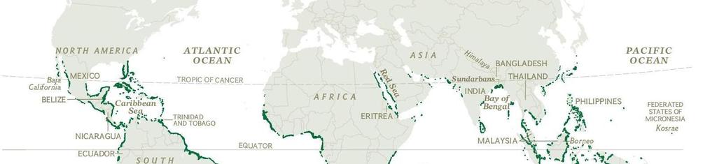 2 REVISÃO DE LITERATURA 2.1 Manguezais Os Manguezais, segundo Schaeffer-Novelli (1990), são ecossistemas costeiros e ocorrem em regiões tropicais e subtropicais do mundo (30 N 30 S) (Figura 1).