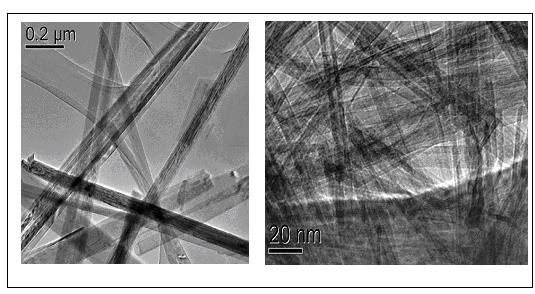 Figura 1: Imagens de MET apontando a presença de nanotubos e nanofitas após a troca protônica.