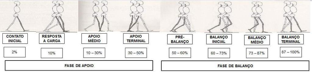 16 Figura 1: Esquema representativo das fases da marcha (Fonte: Perry 19 ) 2.