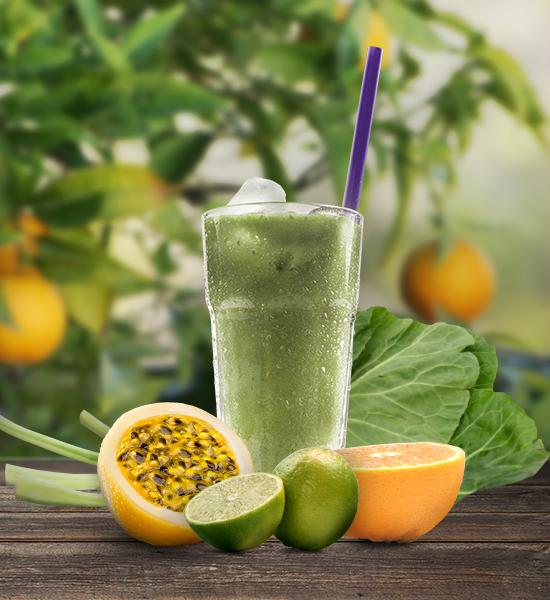 VERDE VERDE DETOX O grande segredo deste suco está na couve, rica em cálcio e magnésio, que ajuda a eliminar toxinas do organismo e ganhar mais vitalidade física e mental.