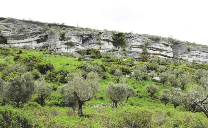 A Orla Ocidental, formada na Era Secundária, estende-se ao longo de uma faixa litoral, desde Espinho até à serra da Arrábida; separa-se do Maciço Antigo por um acidente geológico complexo Falha de