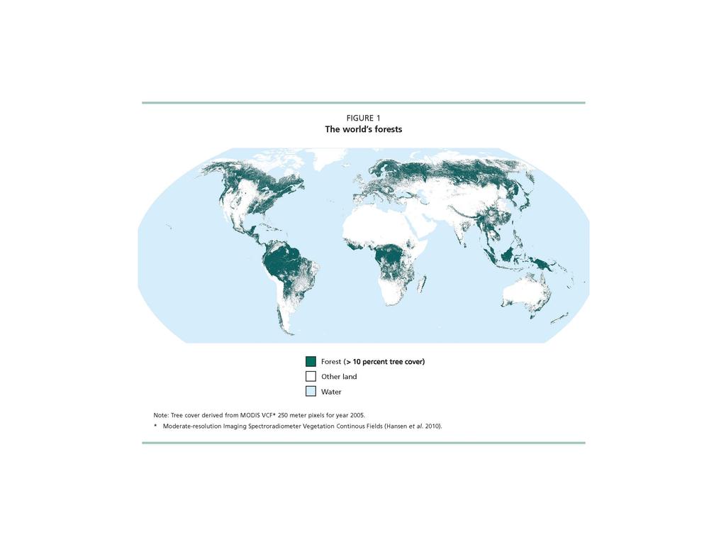Figura 01. Distribuição da cobertura florestal mundial em 2010. FONTE: FAO, 2012.