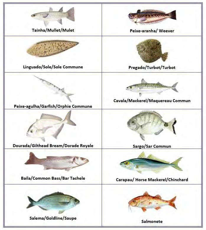 Liste des Poisson Poisson ponctuées à partir de 15 cm.