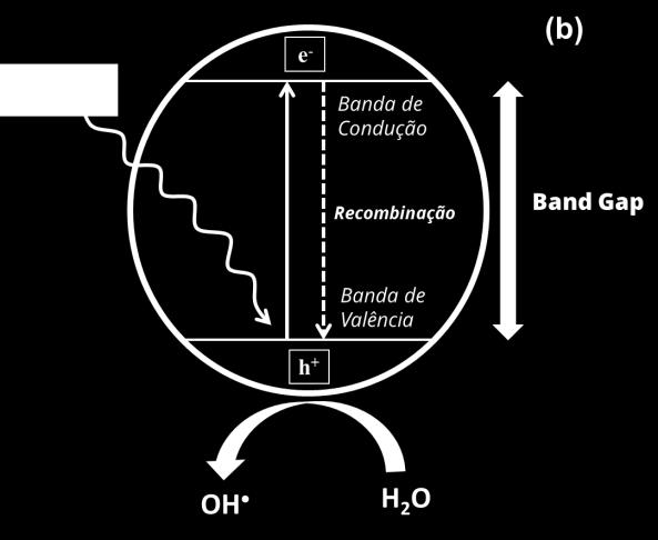 / nm Figura 66. (a) Fotodegradação de azul de metileno em solução aquosa em função do tempo de exposição à radiação UV utilizando os catalisadores FC, AO4h e PH12h.