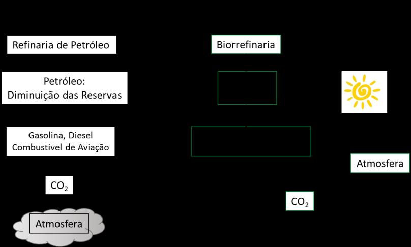 Figura 1. Ciclos de CO 2 para os combustíveis derivados do petróleo e da biomassa.