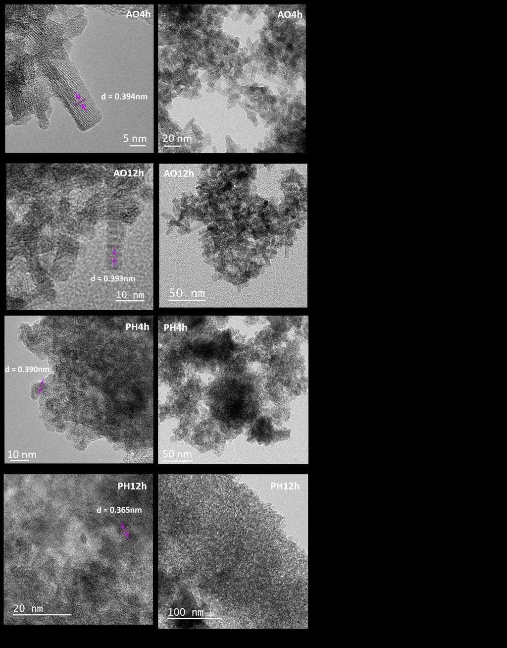 Figura 13. Imagens de microscopia eletrônica de transmissão das amostras AO4h, AO12h, PH4h, PH12h.