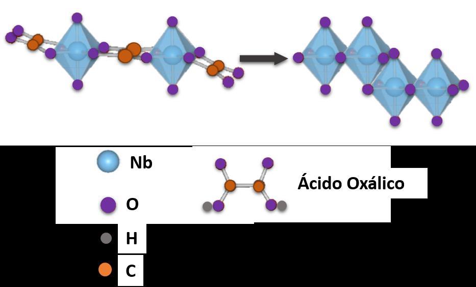 Figura 15. Esquema do possível mecanismo de atuação do ácido oxálico. Adaptado de TRUONG et al.(truong et al., 2012).