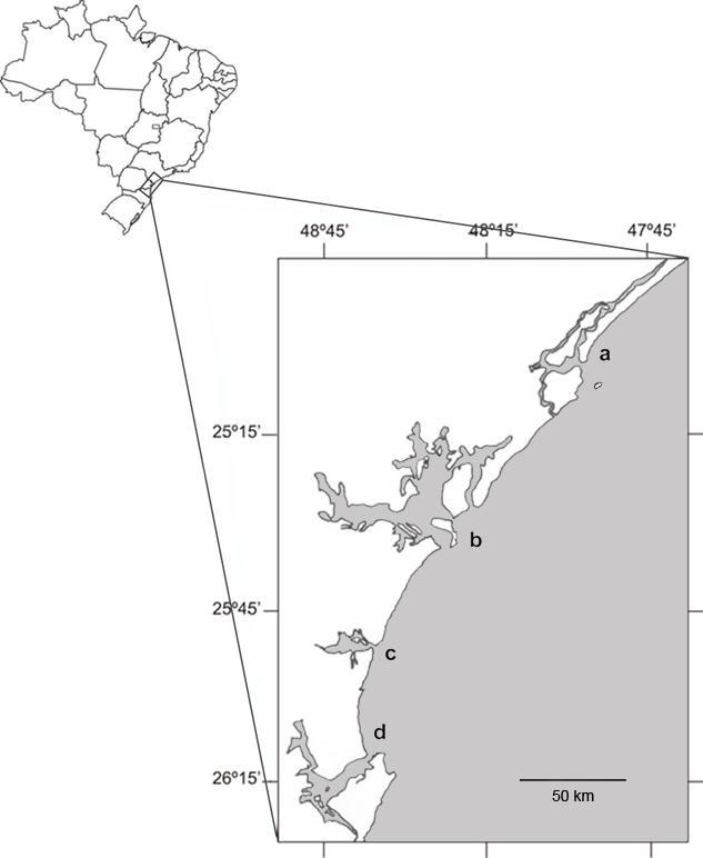 Figura 1. Localização dos estuários deste estudo.