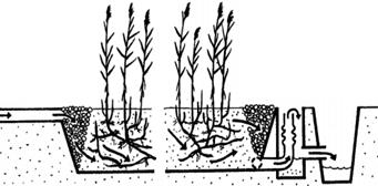 Wetlands de fluxo superficial (WFS) Neste tipo de sistema WFS (Figura 1) o efluente possui fluxo acima da superfície, passando pelas folhas e caules, e as plantas apresentam-se enraizadas na camada