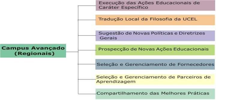 A estrutura orgânica de cada campus avançado tem um coordenador local e uma equipe multidisciplinar local, com autonomia de ação, ligados